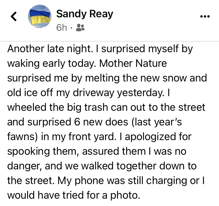 myFacebook post: Another latenight. I surprisedmyself by waking early today. Mother Nature surprised me by melting the new snow and old ice off my driveway yesterday. I wheeled the big trash can out to the street and surprised 6 new dows (last year's fawns) in my front yard. I apologized for spooking them, assured them I was no danger, and we walked together down to the street. My phone was still charging or I would have tried for a photo.